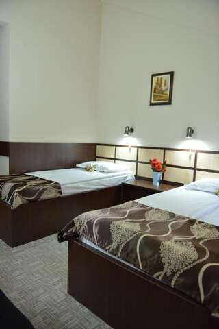 Отель Hotel Valahia Тырговиште Классический двухместный номер с 2 отдельными кроватями-3